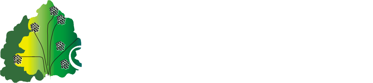 Senioren– und Pflegeheim Holunderbusch GmbH